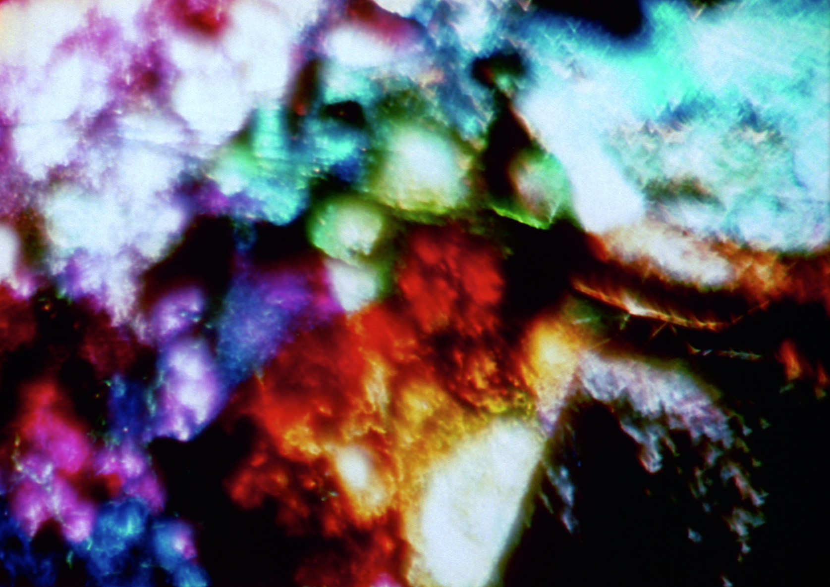 A still from Stan Brakhage's Seasons...